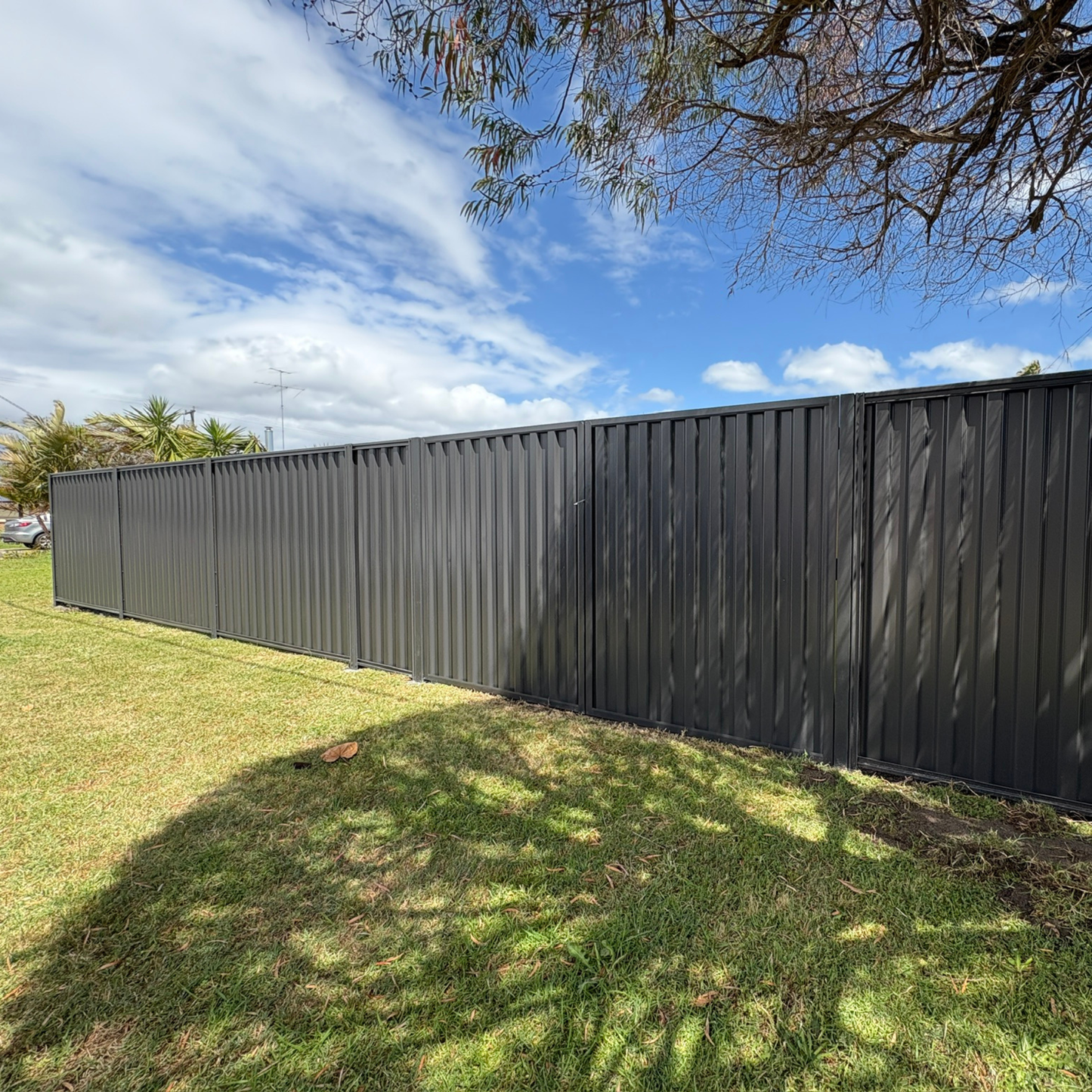 Double Colorbond Steel Gates